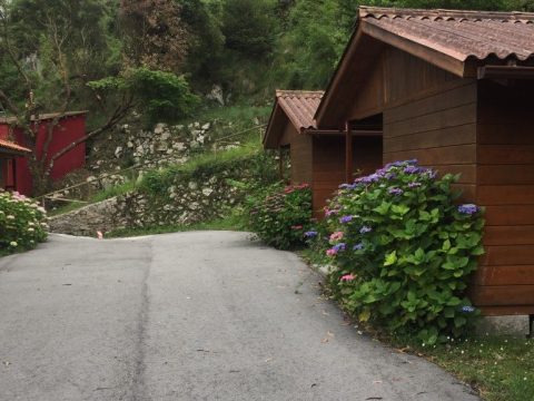 franca-bungalow-A (1)