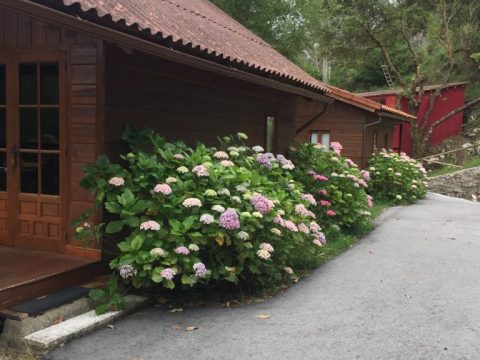 franca-bungalow-A (20)